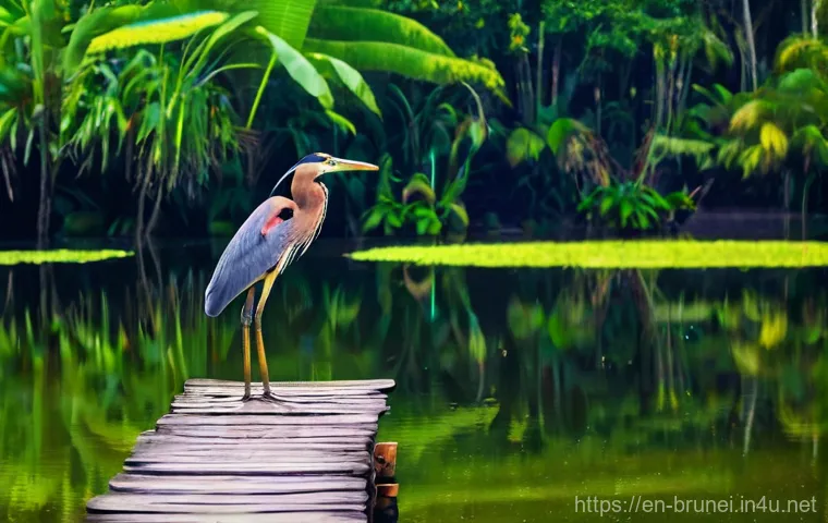 브루나이의 조류 관찰 명소 - **Ulu Temburong Canopy Walkway at Dawn:** An immersive, eye-level view from the Ulu Temburong Nation...