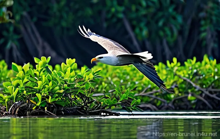 브루나이의 조류 관찰 명소 - **Tasek Merimbun Lake in the Golden Hour:** A tranquil, ethereal scene at Tasek Merimbun Heritage Pa...