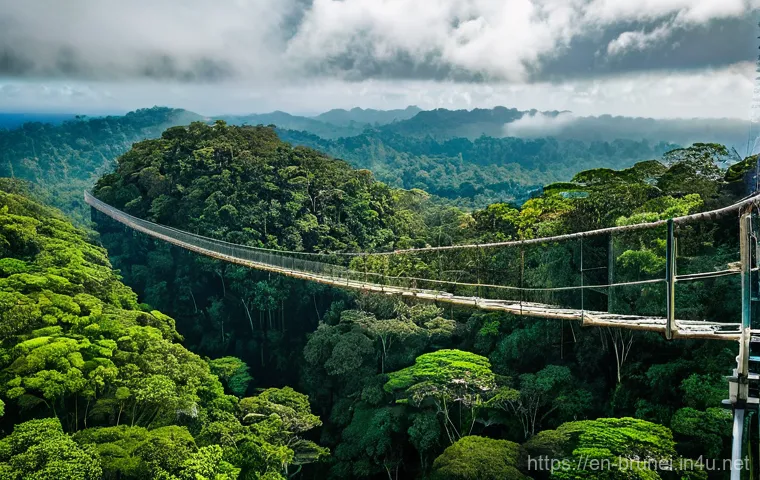 브루나이 최고의 스팟 - Vibrant Life in the "Venice of the East": Kampong Ayer**

"An immersive medium shot depicting daily ...