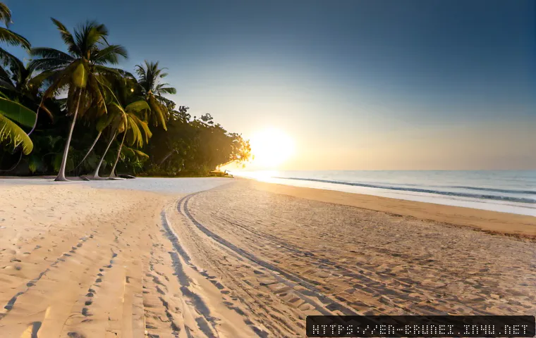 Home 17 브루나이의 해변 명소 - Photorealistic wide-angle sunrise view of Muara Beach, Brunei, soft golden light over calm South Chi...