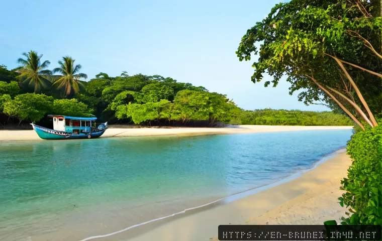 Brunei Beach Escapes: Which Coast Spot Fits Your Day Trip, Budget, and Travel Style? 3 브루나이의 해변 명소 관련 이미지 1